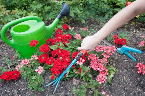 Gardener with clipboard inspecting a garden for safety