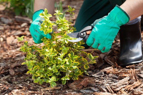 Illustration of a gardener with toolkit near a wheelchair-accessible path