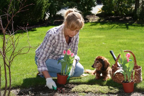 Training session with gardeners learning equipment use
