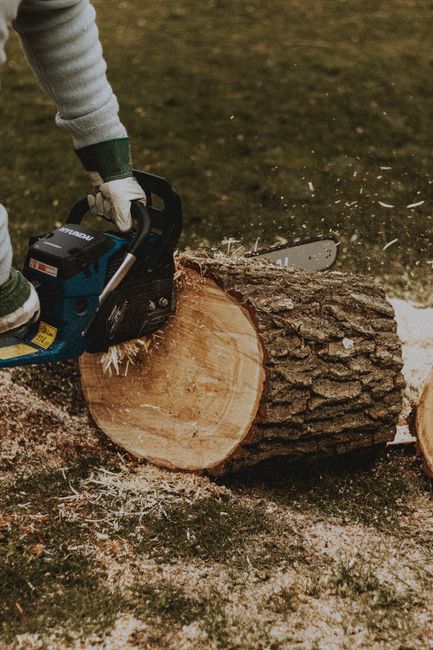 A fallen tree with a thick, moss-covered trunk and broken branches lies across a paved residential street, surrounded by a patch of green grass and scattered debris. A worker wearing an orange high-vi