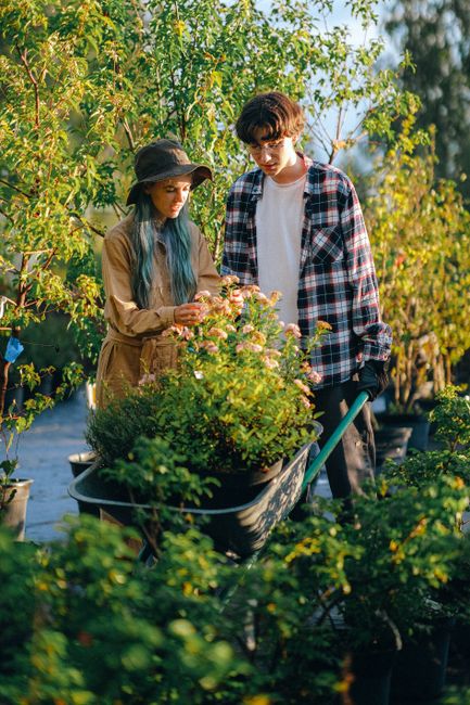 A young woman and a man are engaged in garden maintenance in a lush outdoor setting. The woman, dressed in a white t-shirt, ripped jeans, and a checkered apron, is holding a garden rake and standing o